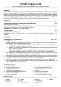 Pro Resume CV Template2